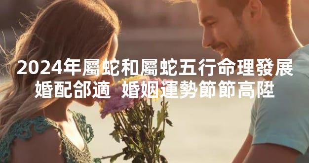 2024年屬蛇和屬蛇五行命理發展婚配郃適  婚姻運勢節節高陞